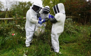 Sophie Gray verwijderen AH nest