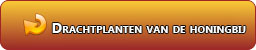 button_drachtplantenvandehoningbij_1.jpg